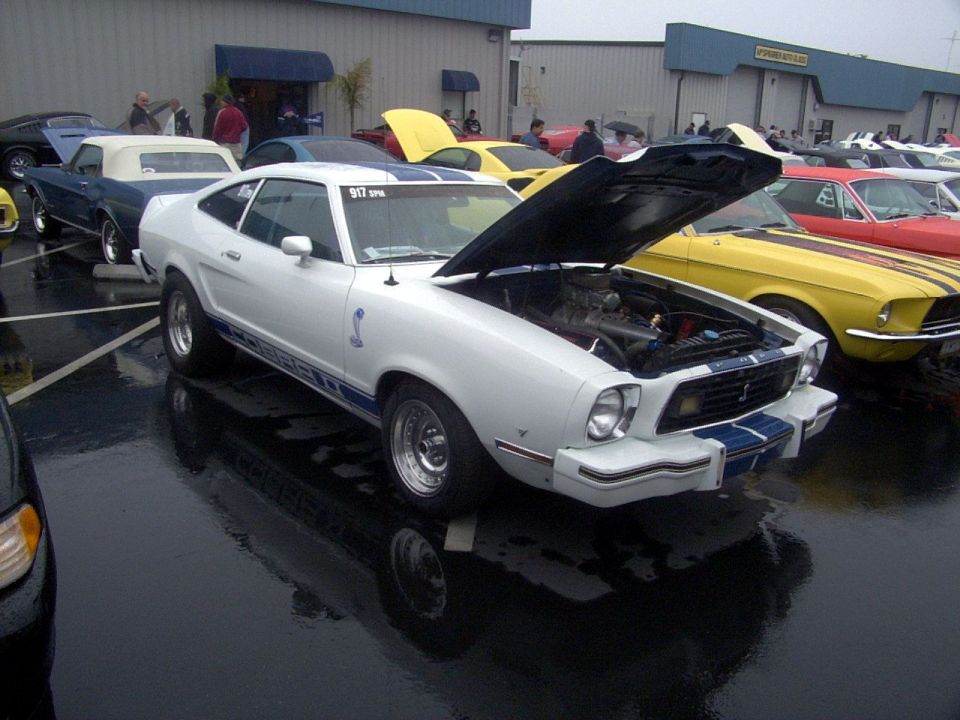 White 1977 Ford Mustang II coupe with blue racing stripes and a cobra emblem, hood open, parked on a wet asphalt lot