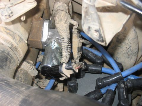 1988 Ford Bronco - Close-up view of engine components, including spark plug wires and a sensor, within the engine bay.