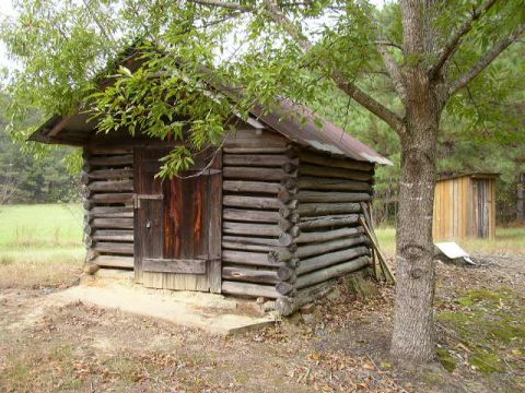 1995 Ford Bronco - A rustic log cabin sits in a wooded area, with a small outhouse visible behind a tree.