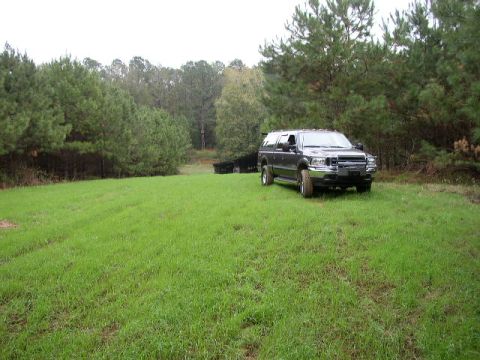 1995 Ford Bronco - A dark Ford Excursion SUV is parked in a grassy area surrounded by trees.