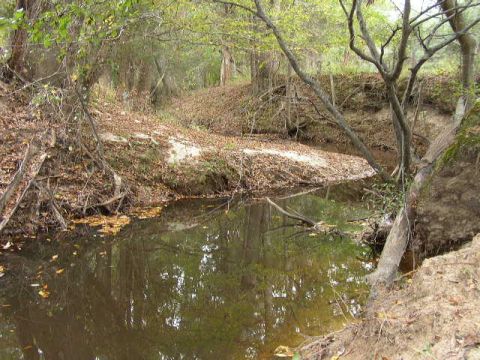 1995 Ford Bronco - A tranquil creek flows through a wooded area, with fallen leaves scattered along its banks and in the water.