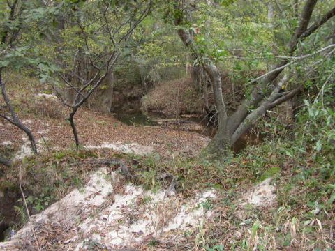 1995 Ford Bronco - A natural scene of a wooded area with a small creek, fallen leaves, and sandy banks.
