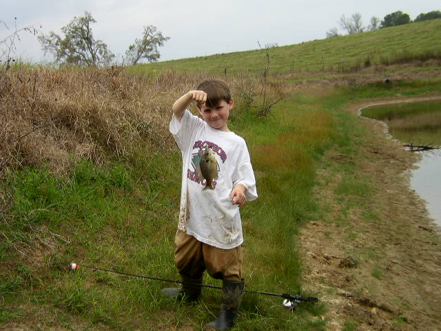Boy holds a small fish near a pond with a fishing rod