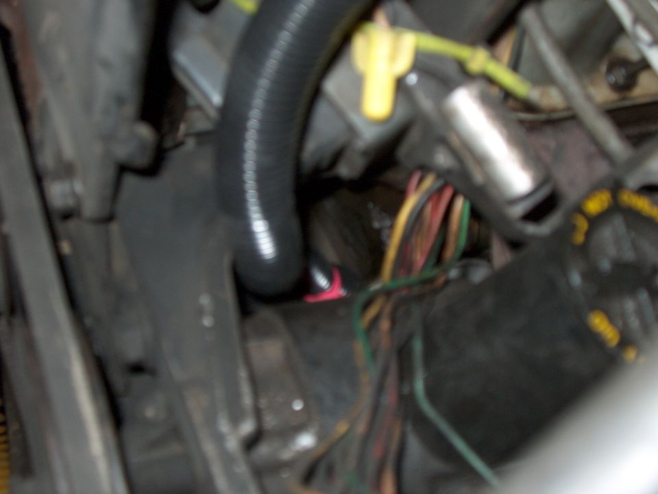 Close-up of engine wiring harness with black tubing and colorful wires