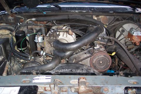 1986 Ford Bronco - Engine shots