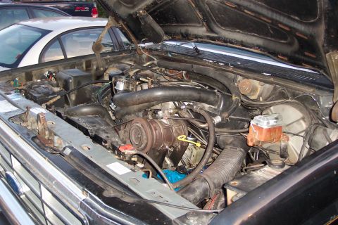 1986 Ford Bronco - Engine shots