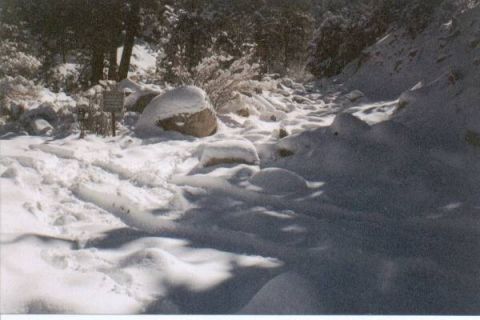 1990 Ford Bronco - A snowy path winds through rocks and trees, with a signpost partially obscured by snow.
