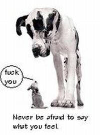 1991 Ford Bronco - A Great Dane and a small dog are depicted with a humorous speech bubble and a website logo.