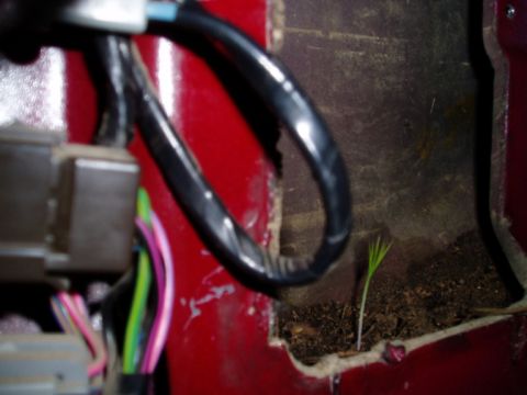 1990 Ford Bronco - A small plant sprouts from dirt within a vehicle's interior panel, near exposed wiring.