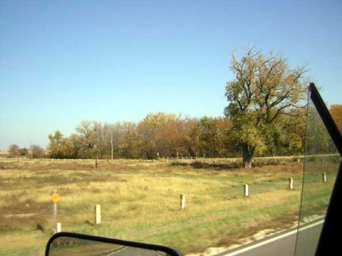 1995 Ford Bronco - A view of a rural landscape with autumn foliage and a large tree under a clear blue sky, seen from inside a vehicle.