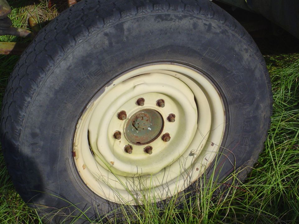 Yellow steel wheel with lug nuts and a black tire