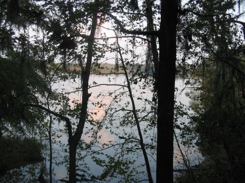 1988 Ford Bronco - A tranquil lake scene at dusk, surrounded by trees and Spanish moss.