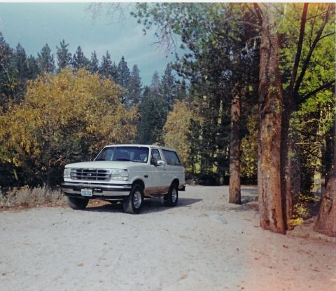 1995 Ford Bronco - A white Ford Bronco is parked in a wooded area with dirt ground and autumn foliage.