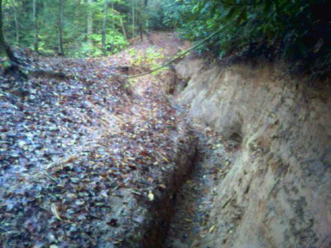 1985 Ford Bronco - A muddy, leaf-strewn off-road trail winds through a wooded area with an eroded embankment on the right.