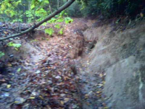 1985 Ford Bronco - A muddy forest path with fallen leaves and a fallen branch, suggesting an off-road or remote location.