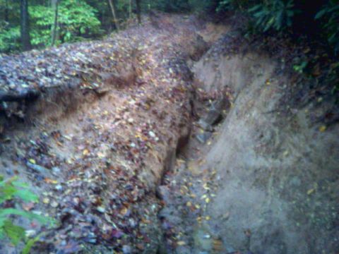 1985 Ford Bronco - A rough trail carved through a wooded area, covered in fallen leaves and showing signs of erosion.