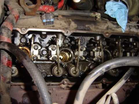 1992 Ford Bronco - The internal components of an engine's valve train are shown, covered in oil.