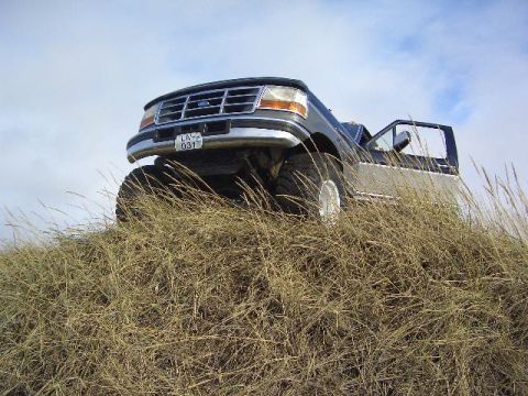 1996 Ford Bronco - Ford F-Series truck with open door on a grassy hill under a cloudy sky.