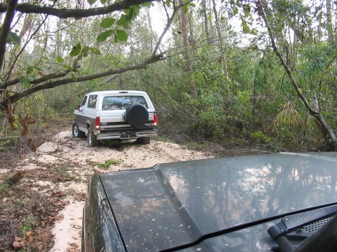 1988 Ford Bronco - Two vehicles navigating a wooded trail; the rear of a 1988 Ford Bronco is visible.