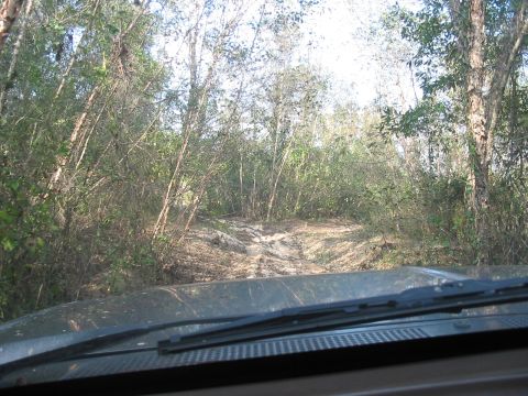 1988 Ford Bronco - Driving through a dense forest on a rough, unpaved path.