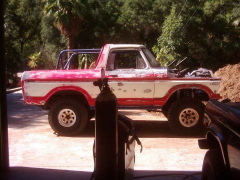 1978 Ford Bronco - A modified 1978 Ford Bronco sits in a driveway with its hood open and a roll cage installed.