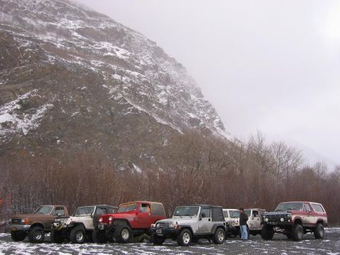 1985 Ford Bronco - Group on the way out.