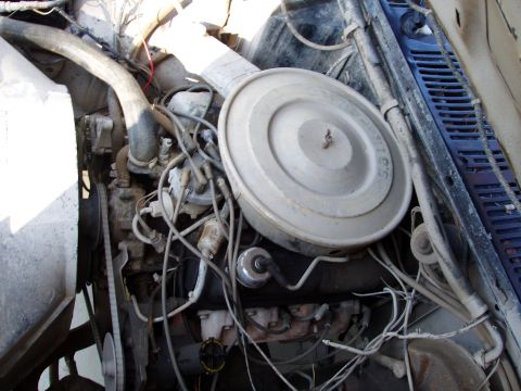 1985 Ford Bronco - 351, bone stock