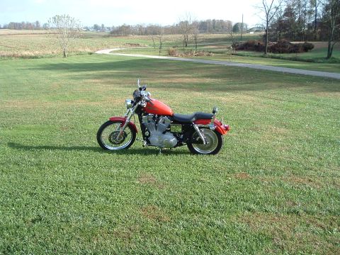 1995 Mercury Grand Marquis - A red motorcycle is parked on a grassy field with a winding path visible in the distance.