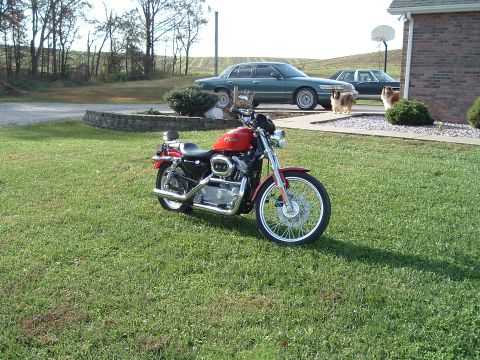 1995 Mercury Grand Marquis - A red motorcycle sits on a lawn with a green sedan and two dogs in the background.