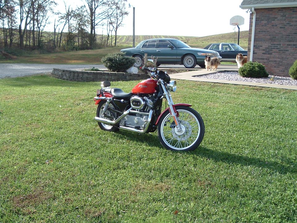 Red motorcycle parked on grass in front of a house. A green sedan is parked in the driveway behind it