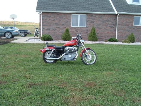 1995 Mercury Grand Marquis - A red Harley-Davidson motorcycle is parked on the lawn. Two cars and another motorcycle are in the background.