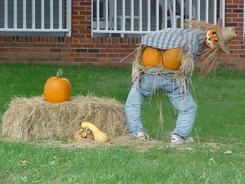 1977 Ford F-150 - A Halloween decoration a scarecrow with pumpkins and hay bales sits on a grassy lawn in front of a brick house.