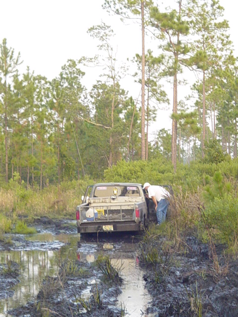 1989 Ford Bronco - A pickup truck is stuck in the mud on a trail, with a person attending to the rear of the vehicle.