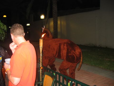 1989 Ford Bronco - The reason for the Great Flight to Naples...the 2 person horse costume makes its grand entrance.