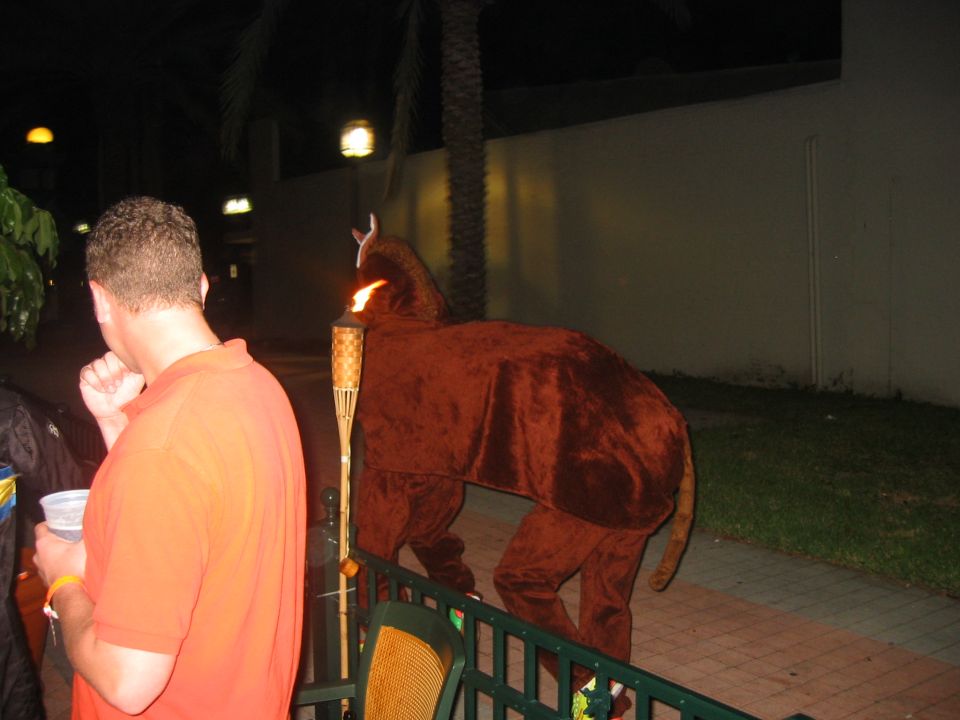 The reason for the Great Flight to Naples...the 2 person horse costume makes its grand entrance.