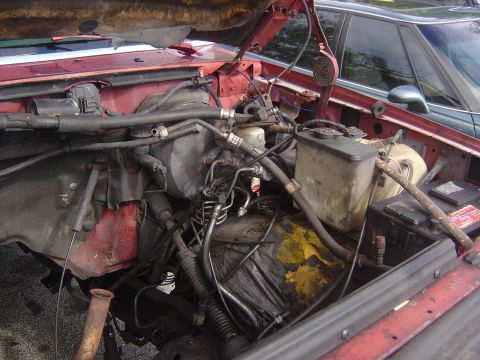 1993 Ford Bronco - Engine bay of a 1993 Ford Bronco, showing a complex arrangement of hoses and components under the hood.