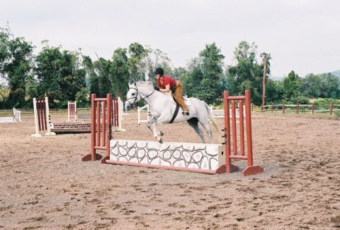 1994 Ford Bronco - A horse and rider clear an obstacle during an equestrian competition.