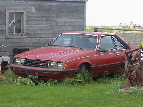 1979 Ford Mustang “Rustang”