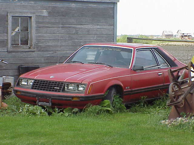 1979 Ford Mustang “Rustang”