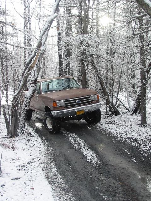 1985 Ford Bronco - Niko going through some trees.