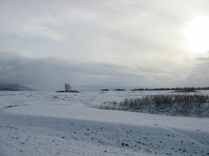 BRRRRRRRR. A look up the flats towards the glacier.