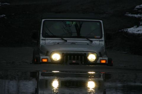 1985 Ford Bronco - Gary Going to for a swim in the pond.