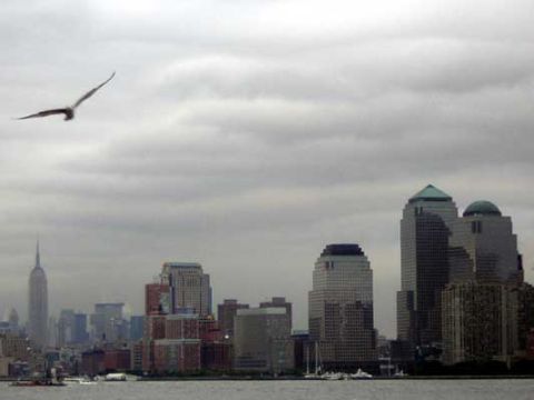 1995 Ford Bronco - View of the New York City skyline from the water, iconic skyscrapers and a bird in flight.