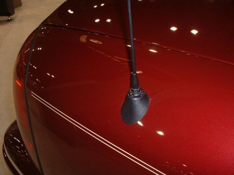 1999 Ford Crown Victoria - The photo shows a close-up of a red car's hood and fender, a black antenna and decorative pinstripes.