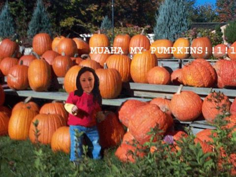 1992 Ford Bronco - A child stands among a large display of pumpkins at a patch, with text overlaying the scene.