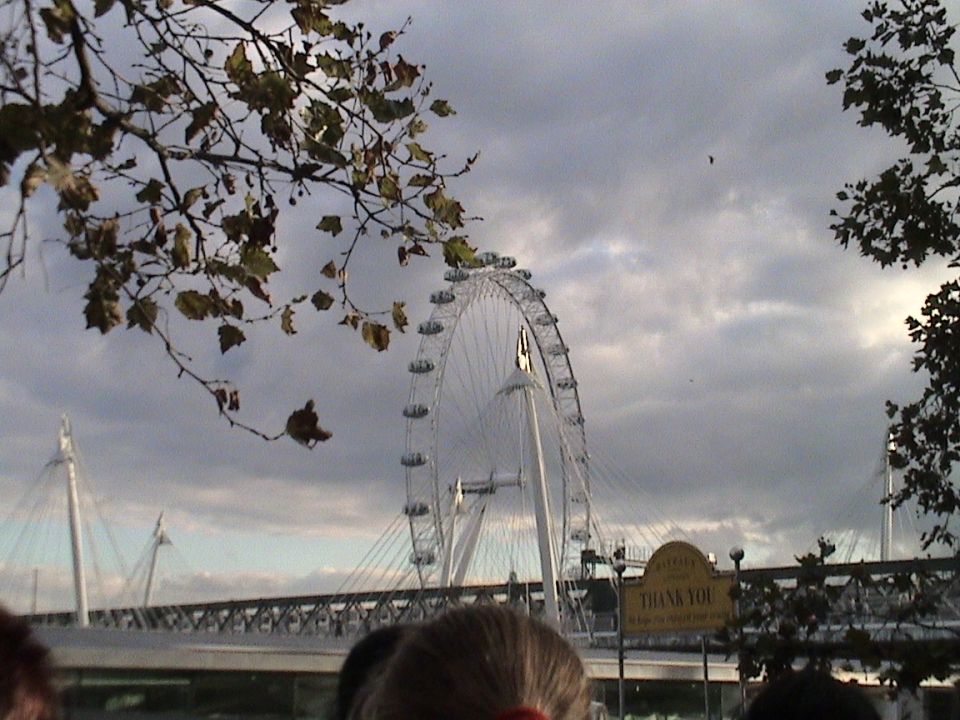 The British Airways London Eye; the largest & slowest ferris wheel.