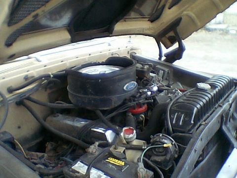 1976 Ford F-150 photo