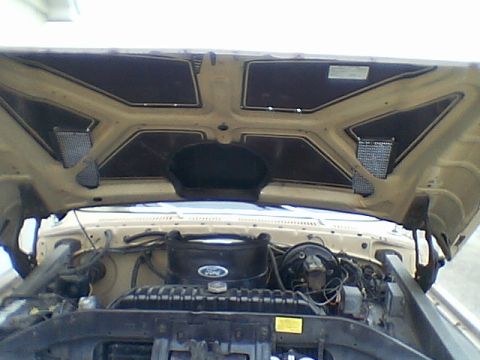 1976 Ford F-150 photo