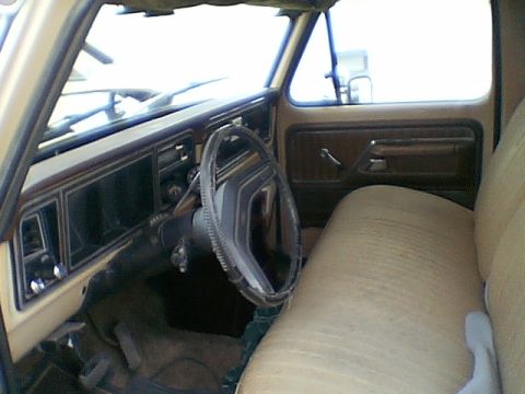 1976 Ford F-150 photo
