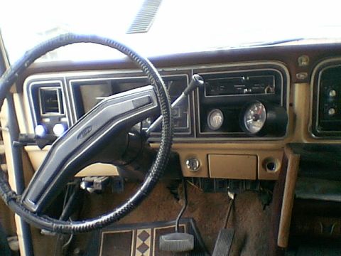1976 Ford F-150 photo